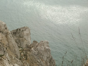 Beachy Head Cliffs