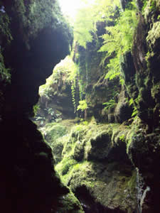 Lydford Gorge