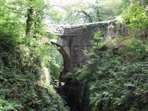 Lydford Gorge