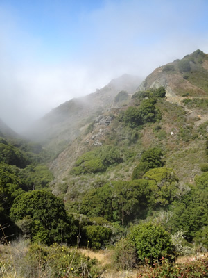 Big Sur Country