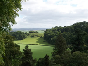 Landscape around Dunster Castle