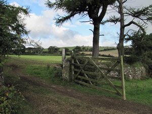 Dartmoor