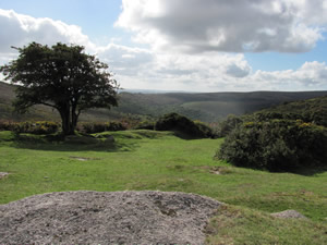 Dartmoor