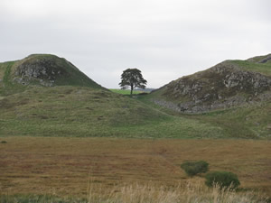 Sycamore Gap