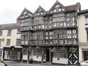 The Feathers Hotel