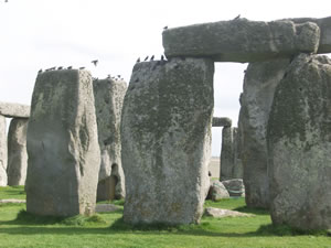 Birds at Stonehenge