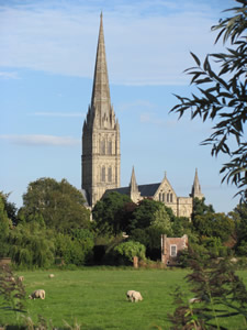 Salisbury Cathedral from Water Meadows