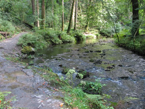 River Lyd